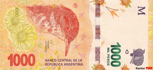 Przód banknotu 1000 peso argentyńskich z 2017 r