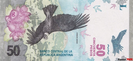 Przód banknotu 50 peso argentyńskich 2018 rok