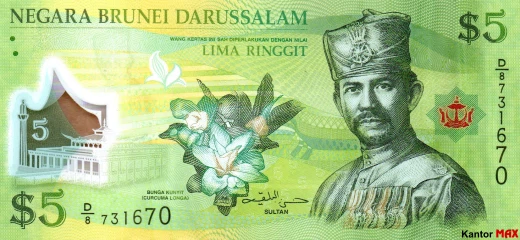 Przód banknotu polimerowego 5 dolarów brunejskich 2011 rok
