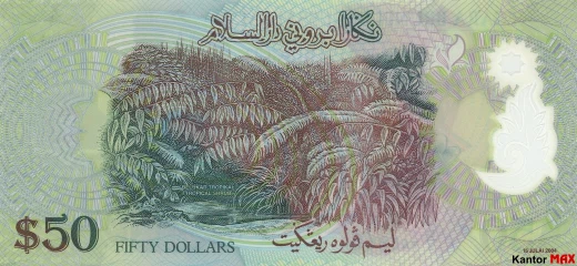 Tył banknotu polimerowego 50 dolarów brunejskich 2004 rok
