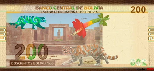 Tył banknotu 200 boliviano seria 1