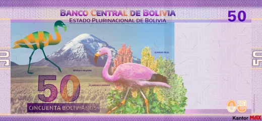 Tył banknotu 50 boliviano seria 1