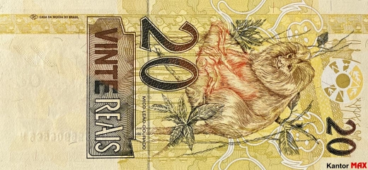 Tył banknotu 20 reali brazylijskich edycja 2002-2010 rok