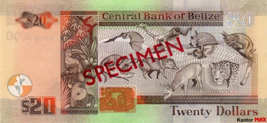 Tył banknotu 20 dolarów belizeńskich seria 2003 r.