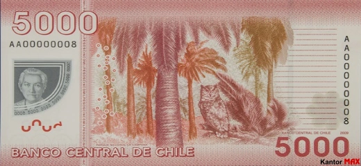 Tył banknotu 5000 peso chilijskich edycja 2009-2021 rok