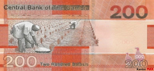 Tył banknotu 200 dalasi 2019 rok