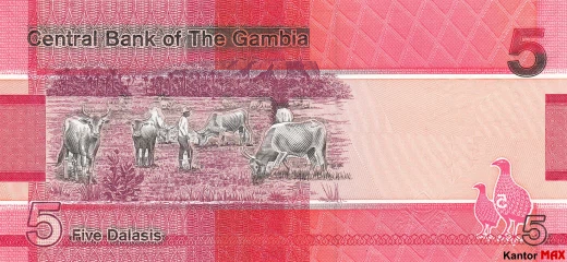 Tył banknotu 5 dalasi gambijskich 2019 rok