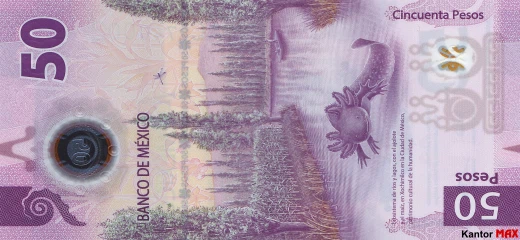 Tył banknotu polimerowego 50 peso meksykańskich seria G z 2021 r