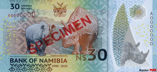 Tył polimerowego banknotu 30 dolarów namibijskich 2020 rok