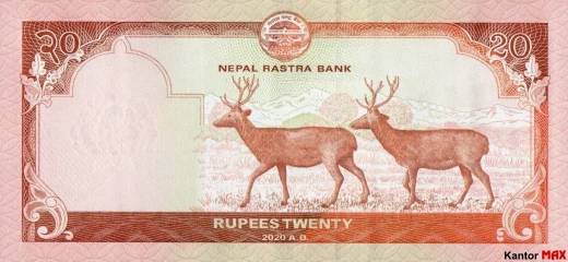 Tył banknotu 20 rupii nepalskich 2023 rok