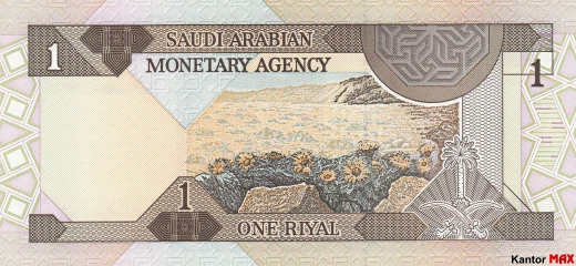 Tył banknotu 1 rial saudyjski seria 4